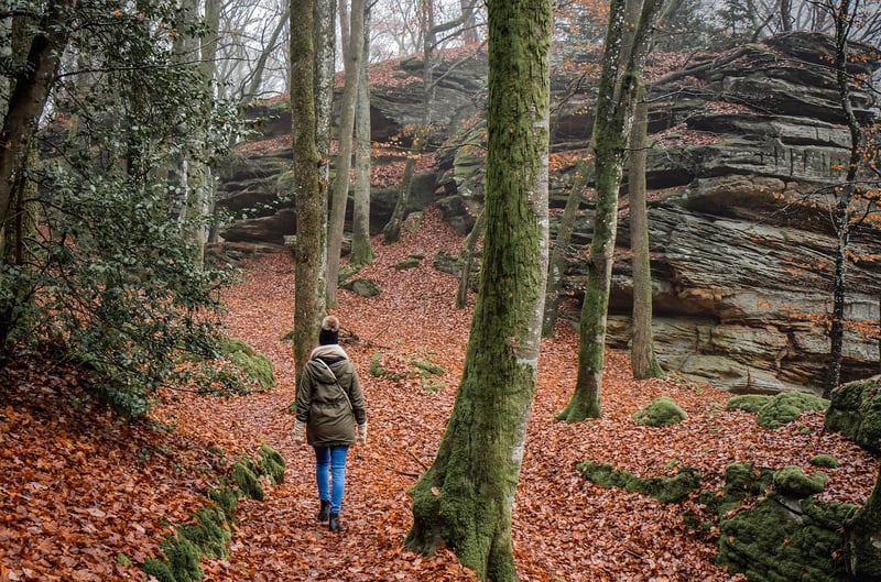 Mystery Trail Exploration